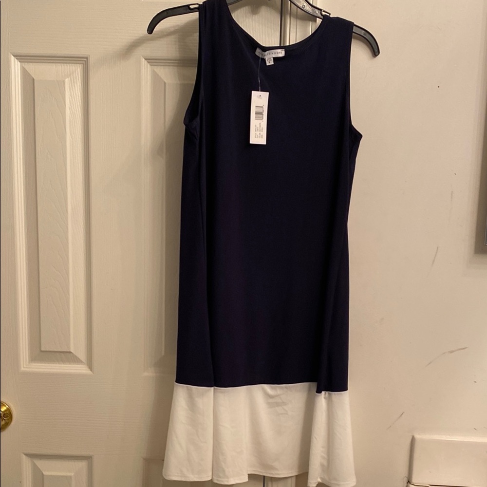 Annalee small Chic Navy and White Dress